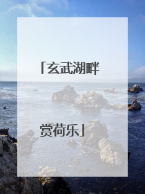 玄武湖畔赏荷乐