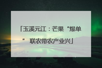 玉溪元江：芒果“爆单” 联农带农产业兴