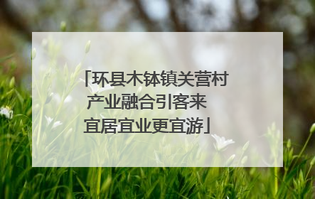 环县木钵镇关营村 产业融合引客来 宜居宜业更宜游