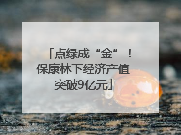 点绿成“金”！保康林下经济产值突破9亿元