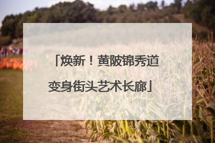 焕新！黄陂锦秀道变身街头艺术长廊