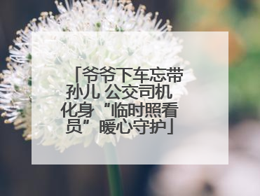 爷爷下车忘带孙儿 公交司机化身“临时照看员”暖心守护