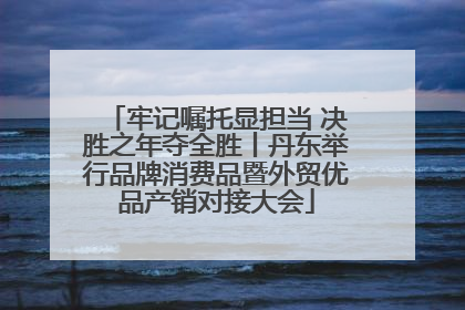 牢记嘱托显担当 决胜之年夺全胜丨丹东举行品牌消费品暨外贸优品产销对接大会