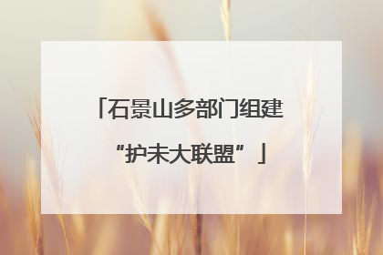 石景山多部门组建“护未大联盟”