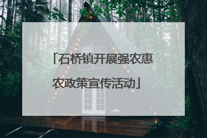 石桥镇开展强农惠农政策宣传活动