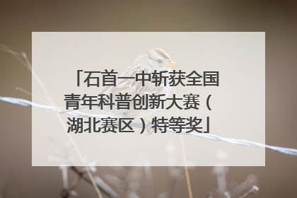 石首一中斩获全国青年科普创新大赛（湖北赛区）特等奖