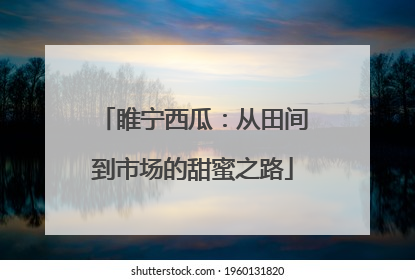 睢宁西瓜：从田间到市场的甜蜜之路