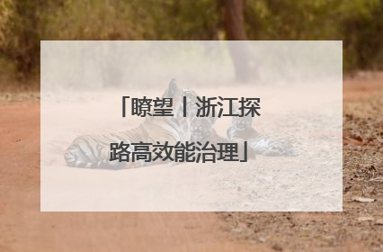 瞭望丨浙江探路高效能治理