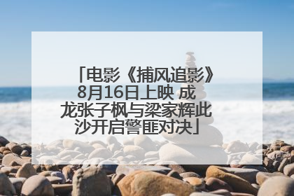 电影《捕风追影》8月16日上映 成龙张子枫与梁家辉此沙开启警匪对决