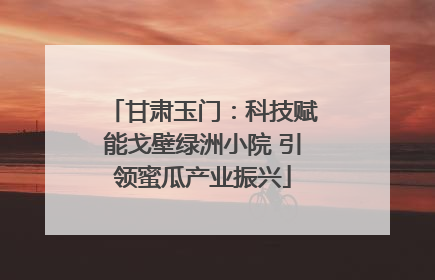 甘肃玉门：科技赋能戈壁绿洲小院 引领蜜瓜产业振兴