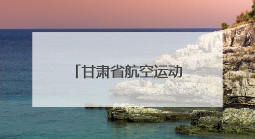 甘肃省航空运动协会发布报告：飞行员彭玉江、顾志敏停飞6个月