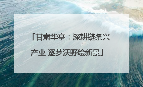 甘肃华亭：深耕链条兴产业 逐梦沃野绘新景