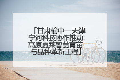 甘肃榆中—天津宁河科技协作推动高原夏菜智慧育苗与品种革新工程