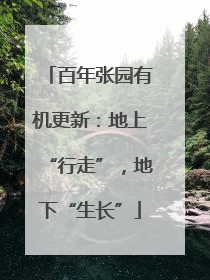 百年张园有机更新：地上“行走”，地下“生长”