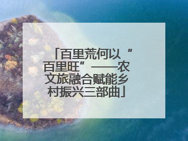 百里荒何以“百里旺”——农文旅融合赋能乡村振兴三部曲