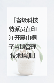 省级科技特派员在印江开展山桐子苗期管理技术培训
