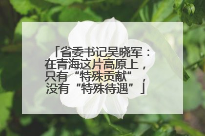 省委书记吴晓军：在青海这片高原上，只有“特殊贡献”，没有“特殊待遇”