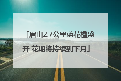 眉山2.7公里蓝花楹盛开 花期将持续到下月