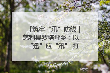筑牢“汛”防线｜慈利县罗塔坪乡：以“迅”应“汛” 打赢暴雨防御战