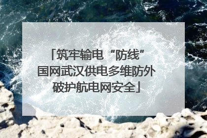 筑牢输电“防线” 国网武汉供电多维防外破护航电网安全