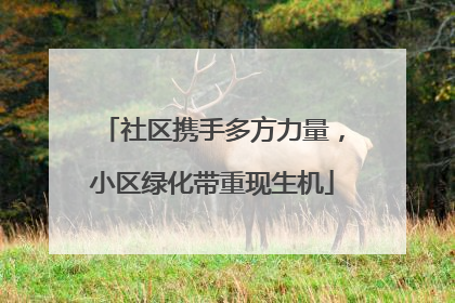 社区携手多方力量，小区绿化带重现生机