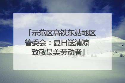 示范区高铁东站地区管委会：夏日送清凉 致敬最美劳动者
