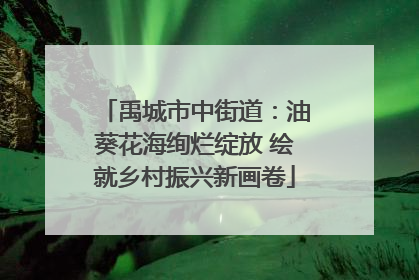 禹城市中街道：油葵花海绚烂绽放 绘就乡村振兴新画卷