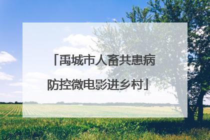 禹城市人畜共患病防控微电影进乡村