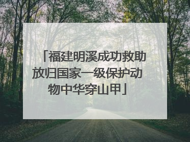 福建明溪成功救助放归国家一级保护动物中华穿山甲