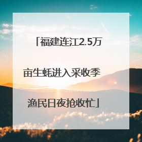 福建连江2.5万亩生蚝进入采收季 渔民日夜抢收忙