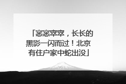 窸窸窣窣，长长的黑影一闪而过！北京有住户家中蛇出没