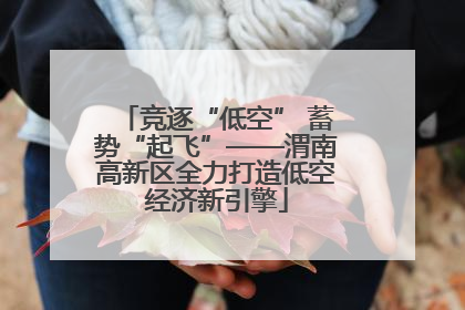 竞逐“低空” 蓄势“起飞”——渭南高新区全力打造低空经济新引擎