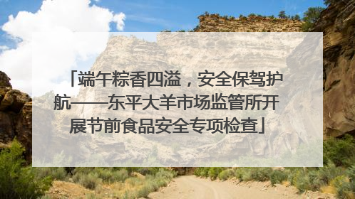 端午粽香四溢，安全保驾护航——东平大羊市场监管所开展节前食品安全专项检查