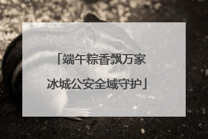 端午粽香飘万家 冰城公安全域守护