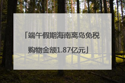 端午假期海南离岛免税购物金额1.87亿元