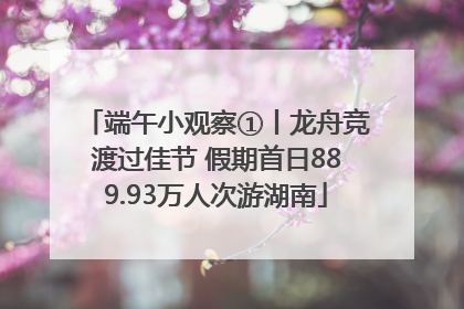 端午小观察①丨龙舟竞渡过佳节 假期首日889.93万人次游湖南