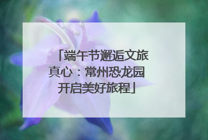 端午节邂逅文旅真心：常州恐龙园开启美好旅程