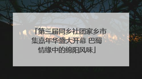 第三届同乡社团家乡市集嘉年华盛大开幕 巴蜀情缘中的绵阳风味