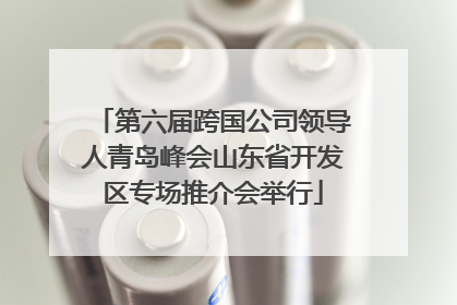 第六届跨国公司领导人青岛峰会山东省开发区专场推介会举行