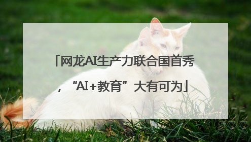 网龙AI生产力联合国首秀，“AI+教育”大有可为