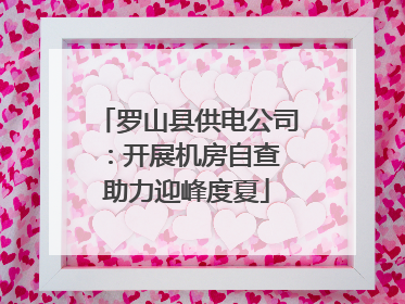 罗山县供电公司：开展机房自查 助力迎峰度夏