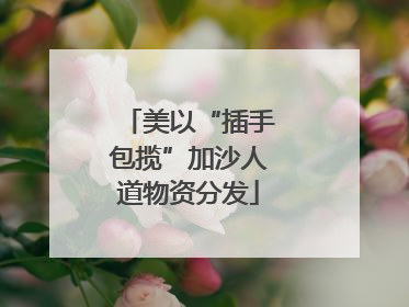 美以“插手包揽”加沙人道物资分发