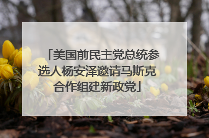 美国前民主党总统参选人杨安泽邀请马斯克合作组建新政党