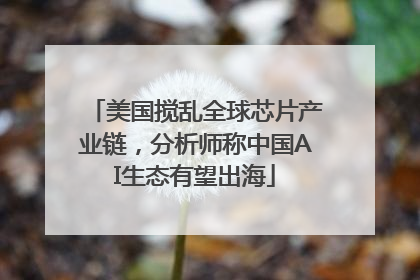 美国搅乱全球芯片产业链，分析师称中国AI生态有望出海