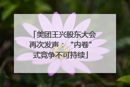 美团王兴股东大会再次发声：“内卷”式竞争不可持续