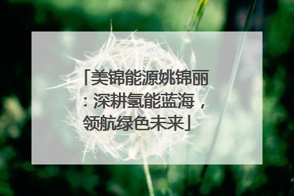 美锦能源姚锦丽：深耕氢能蓝海，领航绿色未来
