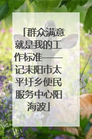 群众满意就是我的工作标准——记耒阳市太平圩乡便民服务中心阳海波