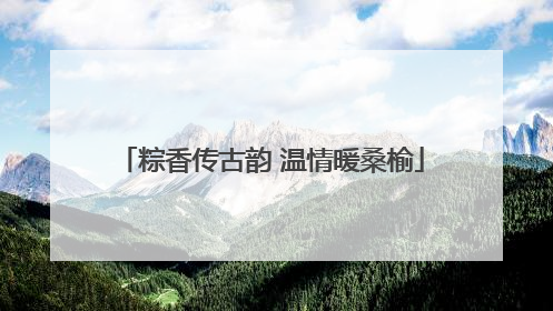 粽香传古韵 温情暖桑榆