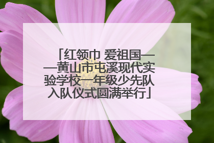 红领巾 爱祖国——黄山市屯溪现代实验学校一年级少先队入队仪式圆满举行