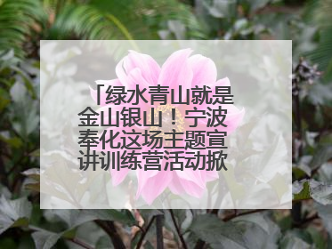 绿水青山就是金山银山！宁波奉化这场主题宣讲训练营活动掀起青春热潮
